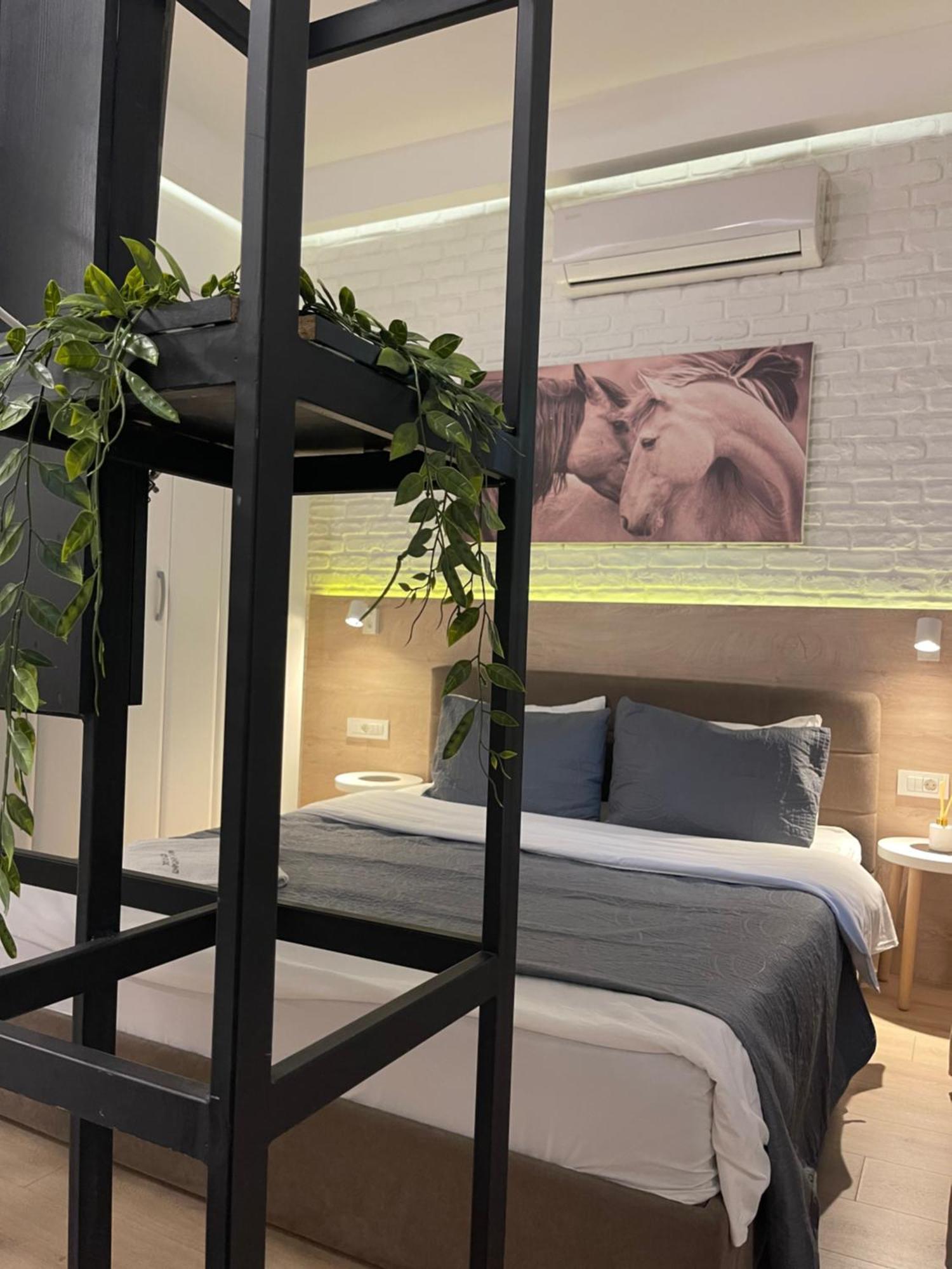 Gray Apartments ストルミツァ エクステリア 写真